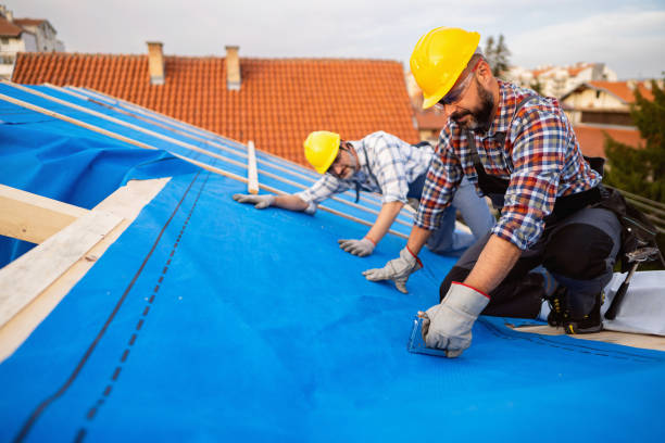 Best Roof Leak Repair  in Sleepy Hollow, WY